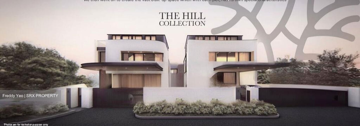 Braddell Heights Estate (D13), Detached #463684601